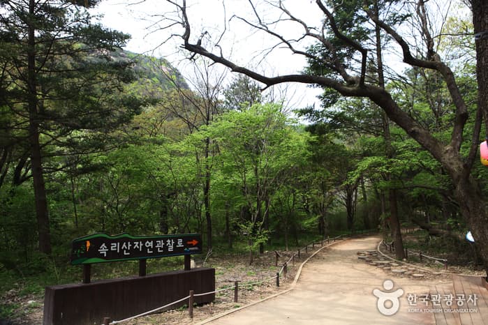 Songnisan Special Tourist Zone (속리산 관광특구)