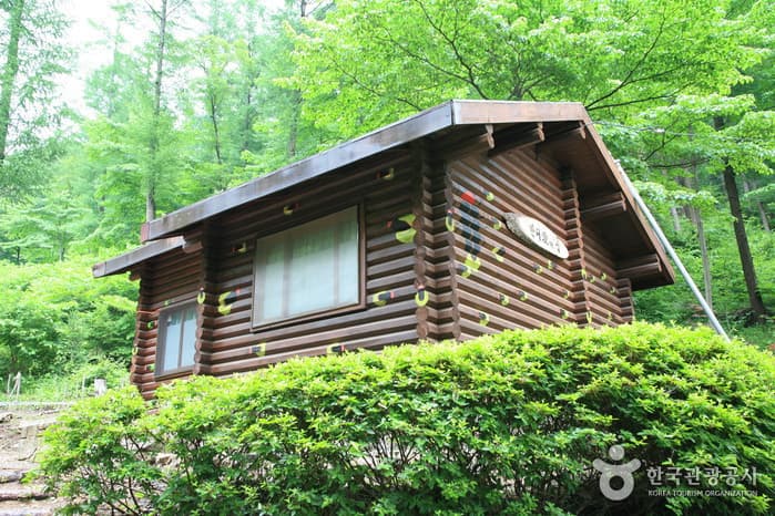 Deogyusan National Recreational Forest (국립 덕유산자연휴양림)