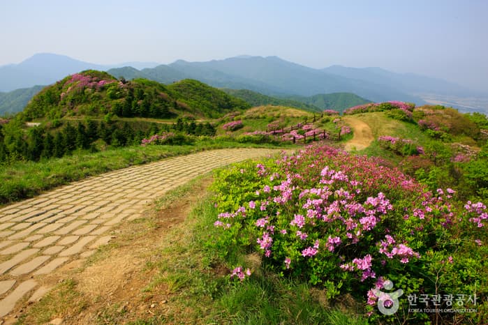 Baraebong Peak (바래봉)