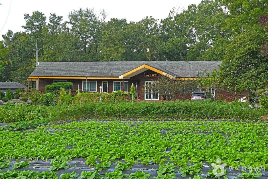 Lotus Lantern International Meditation Center (연등국제선원)