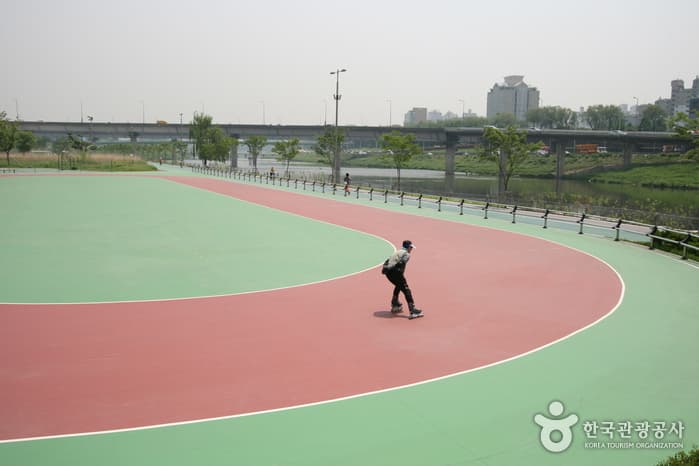 Salgoji Sports Park (살곶이 체육공원)