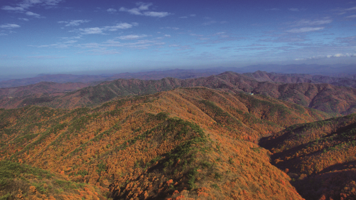 Chilgapsan Provincial Park (칠갑산도립공원)