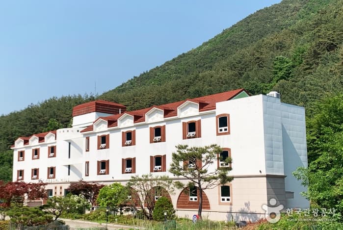 Fresh Hill (프레쉬 힐)