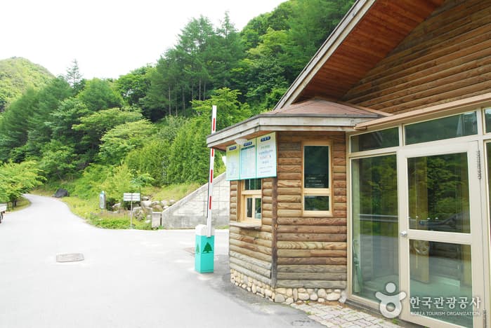 Bokjusan National Recreational Forest (국립 복주산자연휴양림)