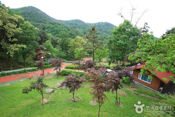 Songjeong Recreational Forest (송정 자연휴양림)