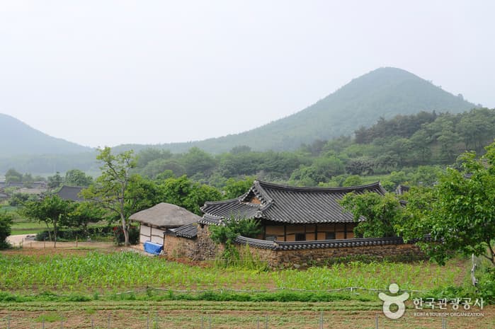 Goseong Wanggok Village (고성왕곡마을)