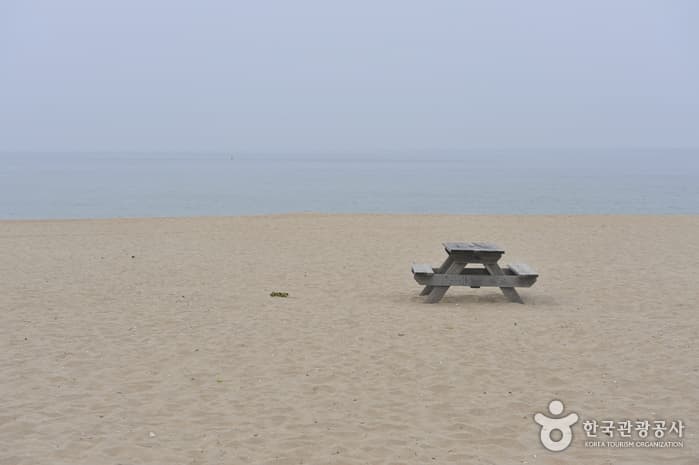 Jeungsan Beach (증산해변(증산 해수욕장))