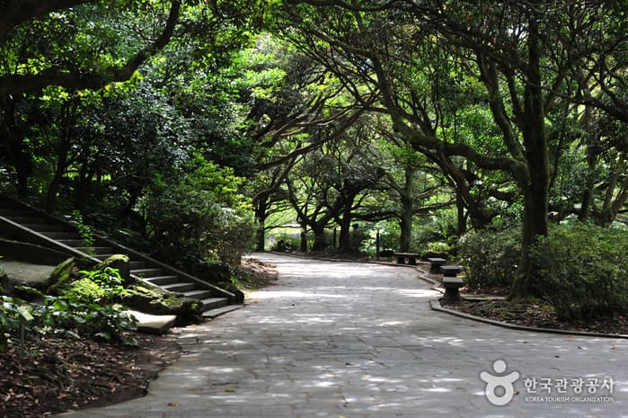 Cheonjiyeonpokpo Falls [UNESCO Global Geopark] (천지연폭포 (제주도 국가지질공원))