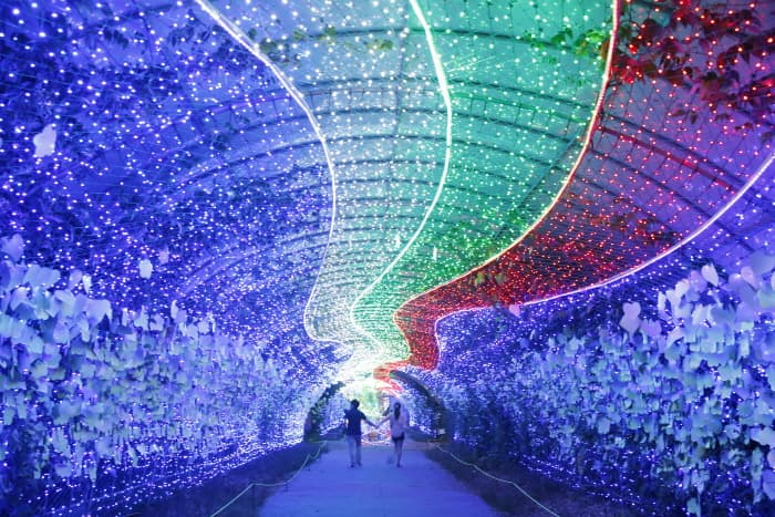 Taean Lighting Festival (태안 빛축제)