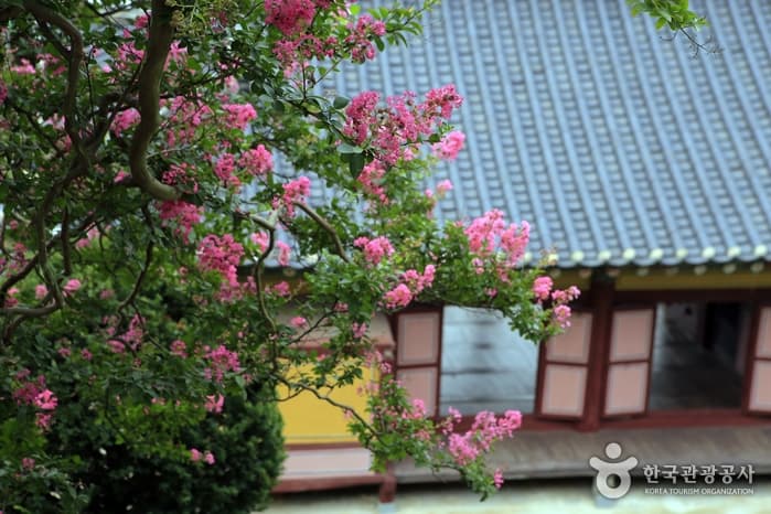 Namgyeseowon Confucian Academy [UNESCO World Heritage] (남계서원 [유네스코 세계문화유산])
