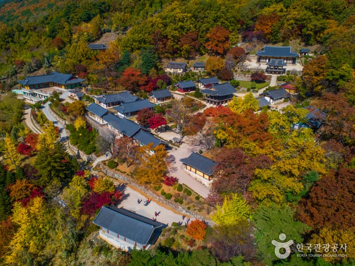 Buseoksa Temple [UNESCO World Heritage] (부석사[유네스코 세계문화유산])