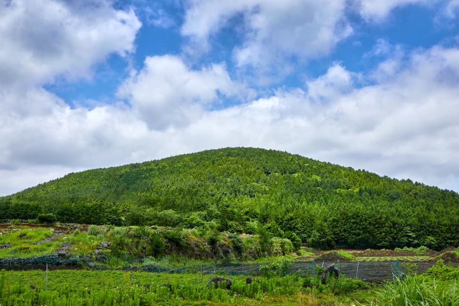 Dotoreum Parasitic Cone (돛오름(돝오름))