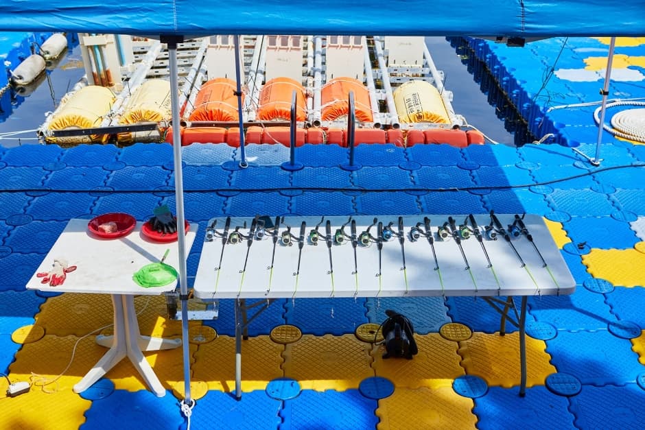 Marine Adventure Park (마린어드벤처파크)
