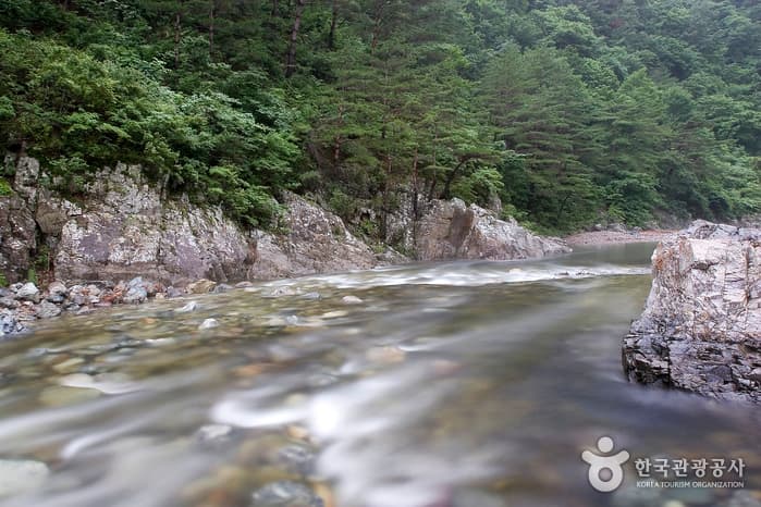 Sinseongyegok Valley (신선계곡)