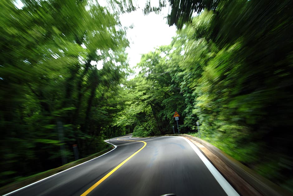 5.16 Tree Tunnel (Road 5.16 Forest Tunnel) (5.16도로숲터널)