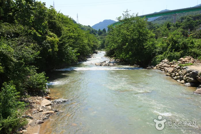 Jangyu Daecheonggyegok Valley (장유대청계곡)