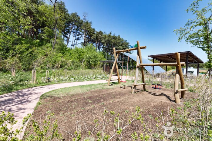 Forest Museum (숲박물관)