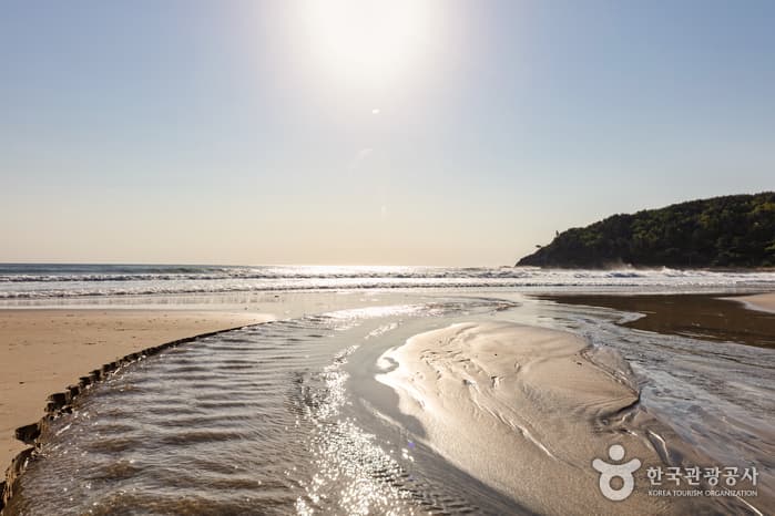 Seorak Beach (설악해수욕장)