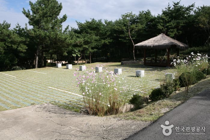 Taehaksan Recreational Forest (태학산자연휴양림)