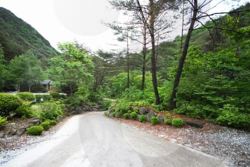Gariwangsan Mountain (가리왕산)