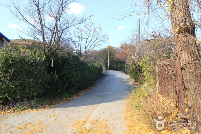 [Ganghwa Nadeul-gil Course 7] Setting Sun Trail ([강화 나들길 제7코스] 낙조보러 가는 길)
