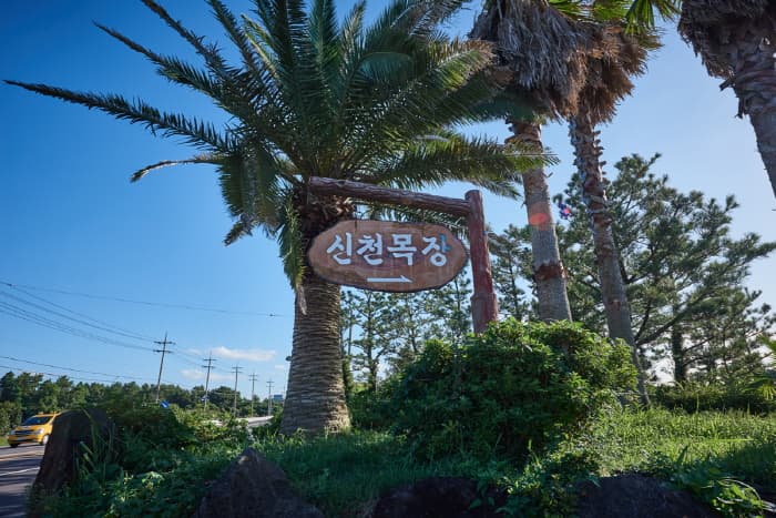Sinpung Sincheon Seaside Ranch (신풍 신천 바다목장)