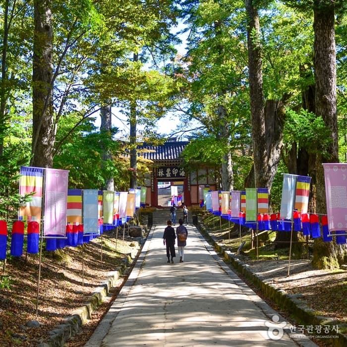 Hapcheon Haeinsa Temple (해인사 (합천))