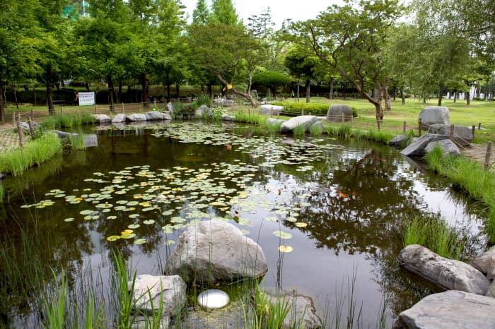 Peace Park (평화공원)