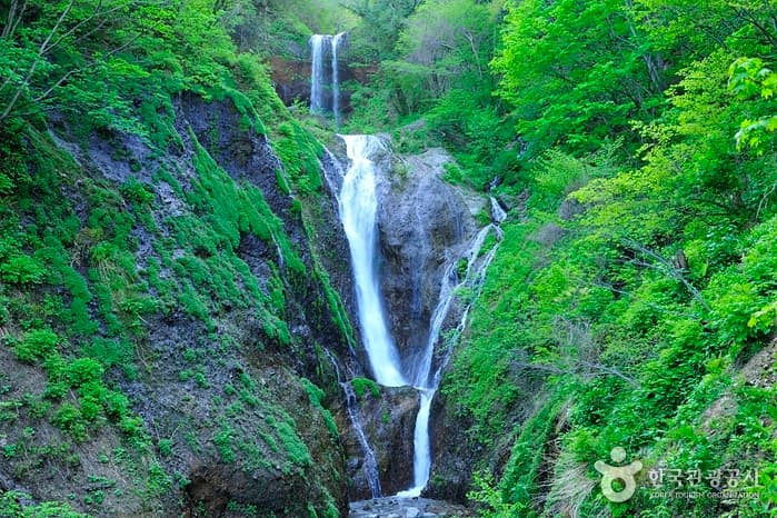 Bongnaepokpo Falls [Ullengdo & Dokdo National Geopark] (봉래폭포 (울릉도, 독도 국가지질공원))