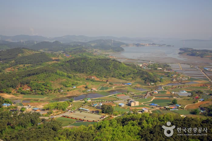 Seosan Palbongsan Mountain (팔봉산(서산))