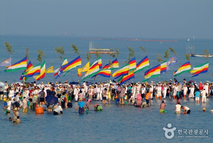 Jindo Mysterious Sea Route (진도 신비의 바닷길)
