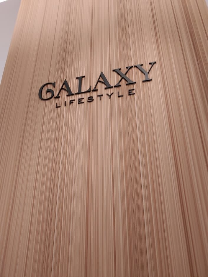 Galaxy Lifestyle - Shinsegae Uijeongbu Branch [Tax Refund Shop] (갤럭시라이프스타일 신세계 의정부점)