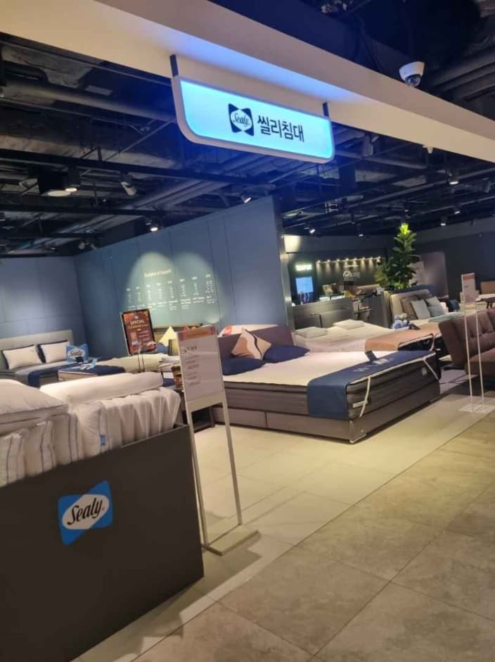 Sealy [Tax Refund Shop] (씰리침대)