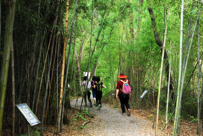 Daejeon National Cemetery Patrotic Footpath (국립대전현충원 보훈둘레길)