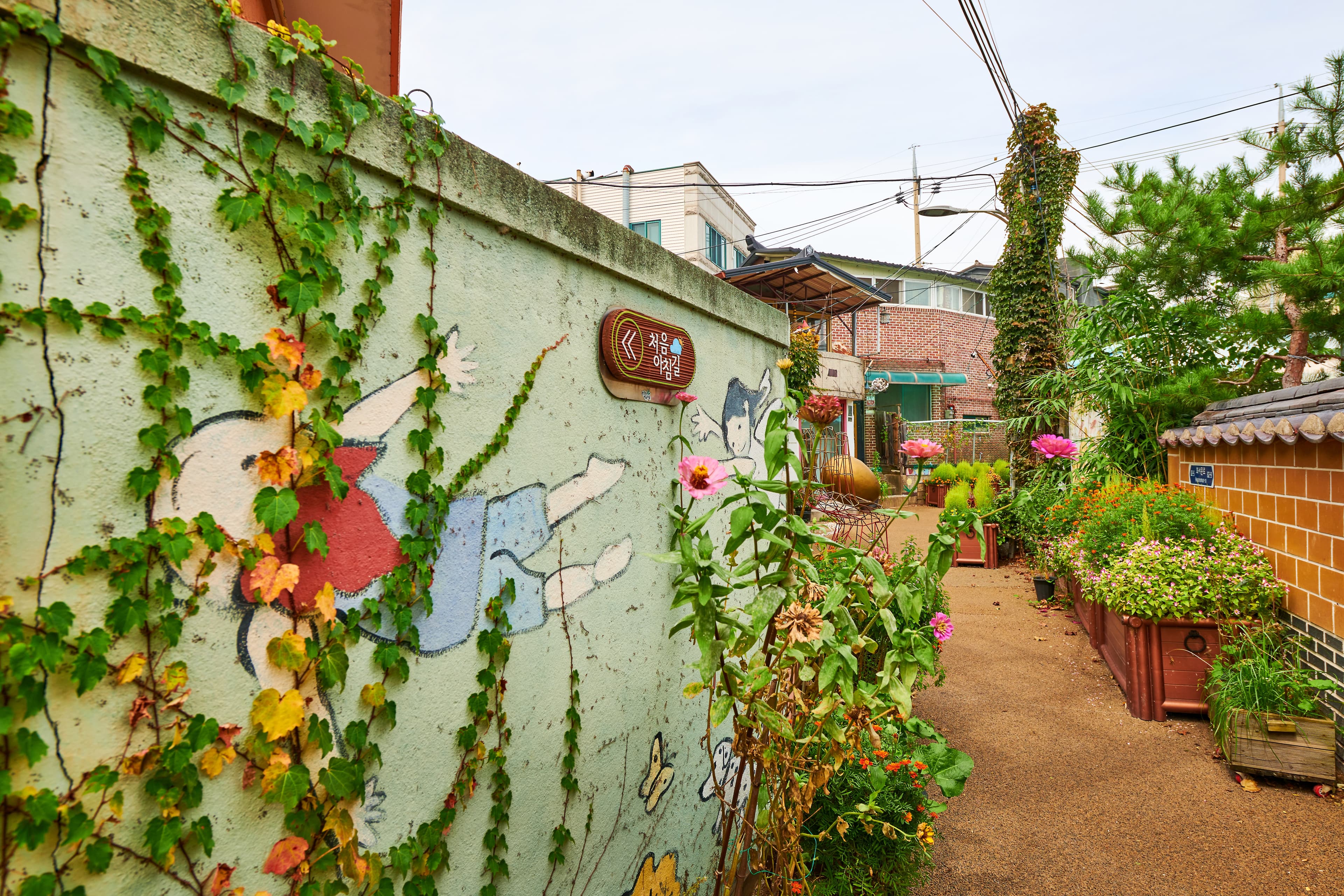 Suwon Jidong Mural Village (수원 지동벽화마을)