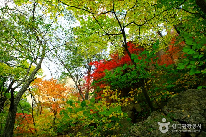 Seoraksan National Park (Southern Section) (설악산국립공원 (남설악))