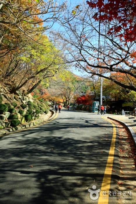Gunwi-gun Palgongsan National Park (팔공산국립공원(군위군))