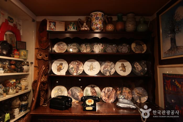 Owl Museum (부엉이박물관)