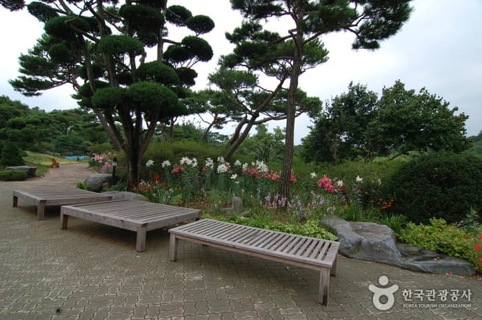 Picturesque Arboretum (Gallery in the Garden) [그림같은 수목원(그림이 있는 정원)]