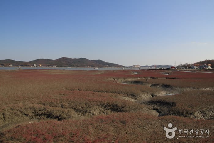 [Ganghwa Nadeul-gil Course 6] Birthplace of Hwanam Trail ([강화 나들길 제6코스] 화남생가 가는 길)