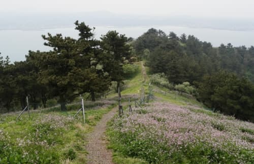 Biyangdo Island (비양도)