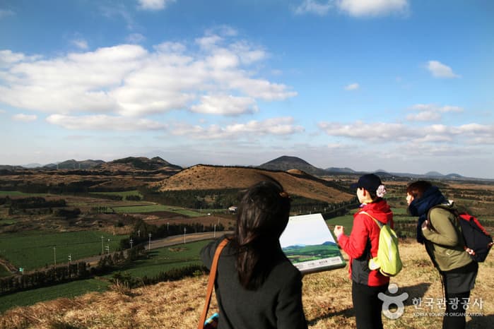 Yongnunioreum Volcanic Cone (용눈이오름)