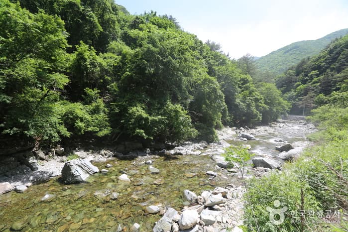Sugamgyegok Valley (숙암계곡)