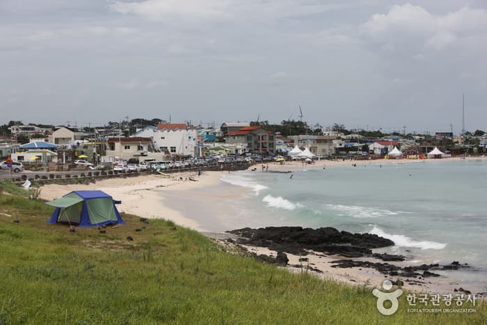 Woljeongri Beach (월정리해변(월정리해수욕장))