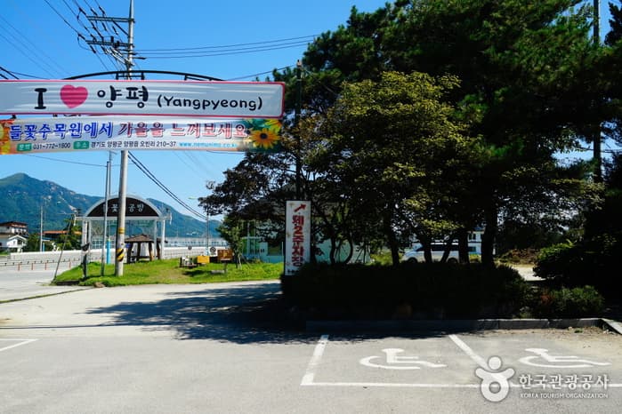 Yangpyeong Wild Flower Arboretum (양평 들꽃수목원)