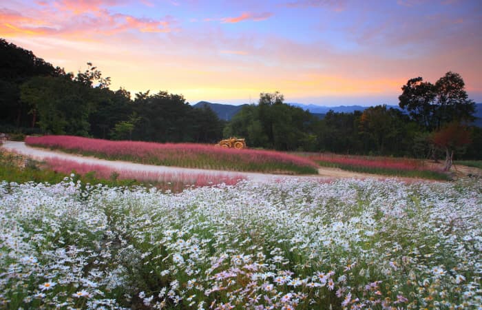 Gasan Supia (가산수피아)
