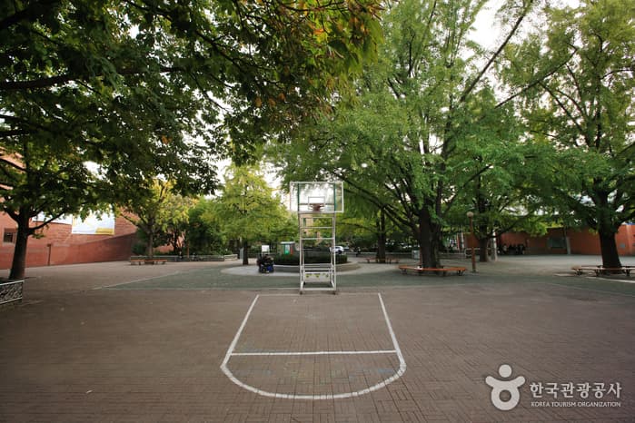 Marronnier Park (마로니에공원)