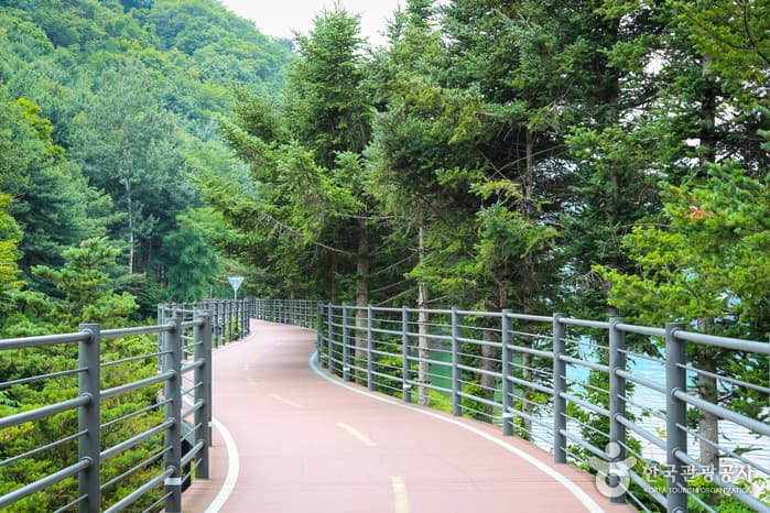 Uiamho Lake Skywalk (의암호스카이워크)