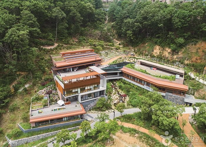 Healience Seonmaeul (힐리언스 선마을)