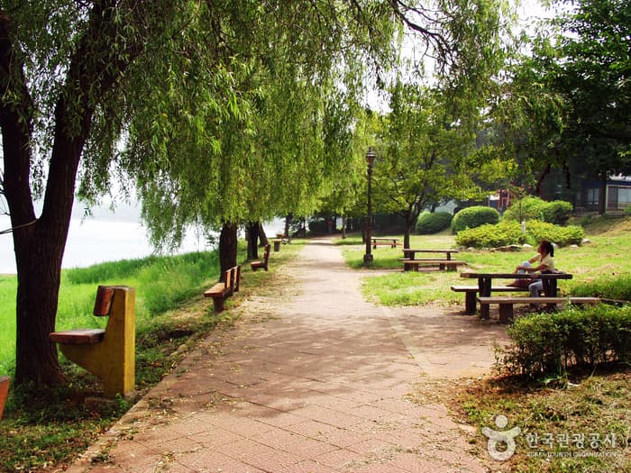 Eunpa Lake Park (Eunpa Recreation Area) (은파호수공원(은파국민관광지))